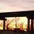bridget_vaughn's profile image
