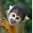 orchidskate's profile image
