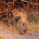 Wendy Deaton - @DeatonWdeaton - Twitter