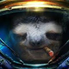 SlothStoned Profile Picture