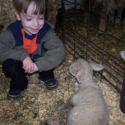 SaulLambWatch's profile picture. Teach, Coach, Lamb, Repeat