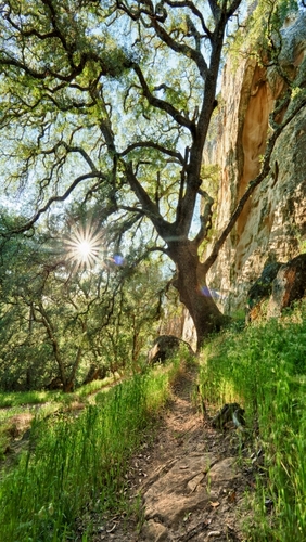 brenwald01's profile picture. Post Primary School Principal  
Own views expressed  and retweeted.