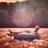 Profile Picture of Ryan Amann (Author) (@@I_AM_aMANn) on Twitter