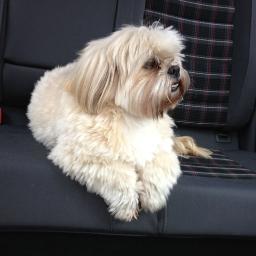 theHutchy's profile picture. Likes to make fancy pants websites.