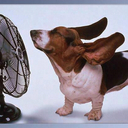 Vanessa Bowles - @vanessaakab - Twitter