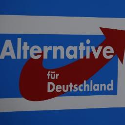 AfDBaden-Württemberg Profile