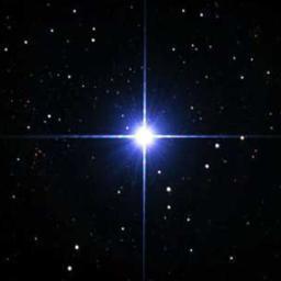 ShyLoneStar Profile Picture