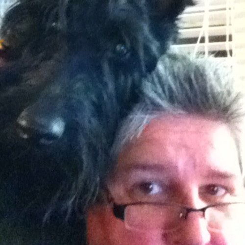 Sports fan! Especially Indiana Fever, Colts and Notre Dame. Scottish Terrier fan! #resist #blue🌊🌊🌊