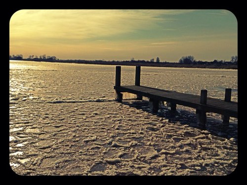 hdokkus's profile picture. 