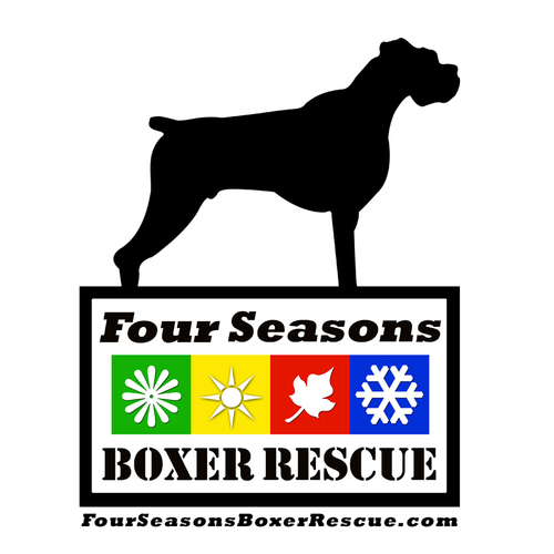 Saving Boxers one Paw at a time!