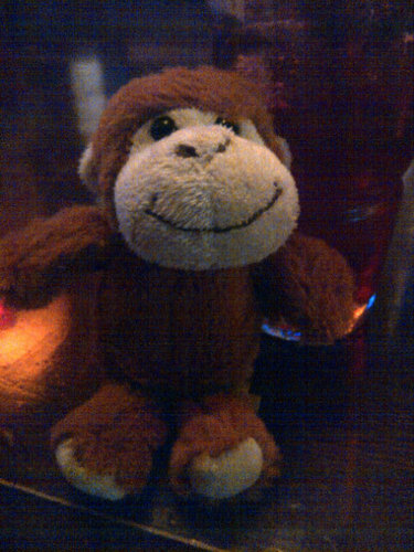 I am a Barbary macaque who loves swinging, trees and bananas, deal with it.
