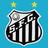 _SaintsFC's profile image
