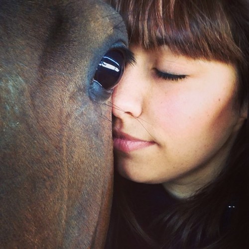 FotoCavallo's profile picture. NJ wildlife/pet/landscape/band photog. College writing professor/aspiring writer. Loves bats🦇, horses, & tomato sandwiches. Ravenclaw 🦅