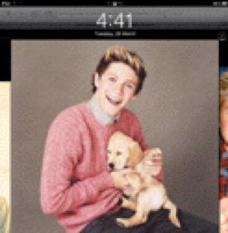 Did you know that I LOVE ONE DIRECTION i am NIALLS GIRL follow ME.  And and i will follow BACK ONE DIRECTION ROCKS!!!! :)