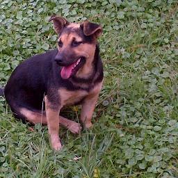 D.E.P Nuestro querido Enyer Porras 💗