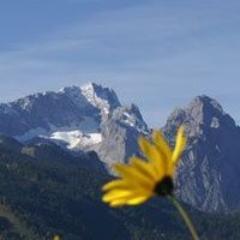 Zugspitzfan Profile