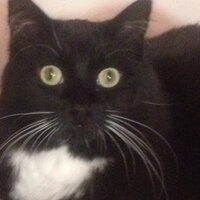 Boots Campbell (@boots2020) 's Twitter Profile