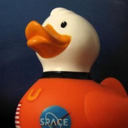 You like rubber ducks?  So do we.
