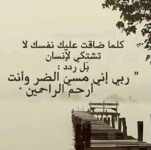 fooofooo2021's profile picture. لآ تضع آمآلگ بمن ليس محل ثقتگ~