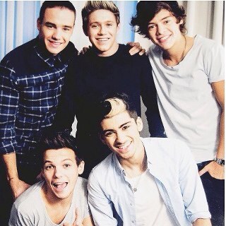 12 letras,12 mamilos, 10 olhos, 10rins, 5 meninos, 4 britânicos, 1 irlandês, uma família, uma banda, um sonho, One Direction.
