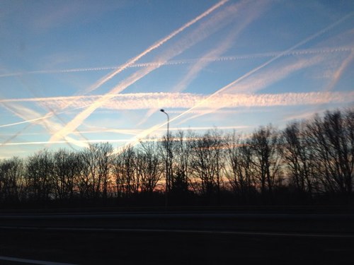 LindaYalcin's profile picture. 