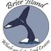 Brier Island Whales (@fundywhales) Twitter profile photo