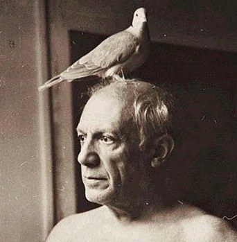 poramoralarte81's profile picture. Espacio -simplificado en un twitt- dedicado al Arte y sus creadores.