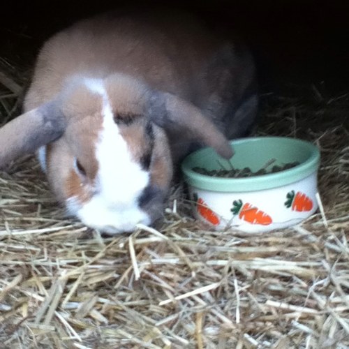 derekcalloway's profile picture. Hi follow me please