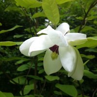 thelangleysisters (@langleysisters) 's Twitter Profile