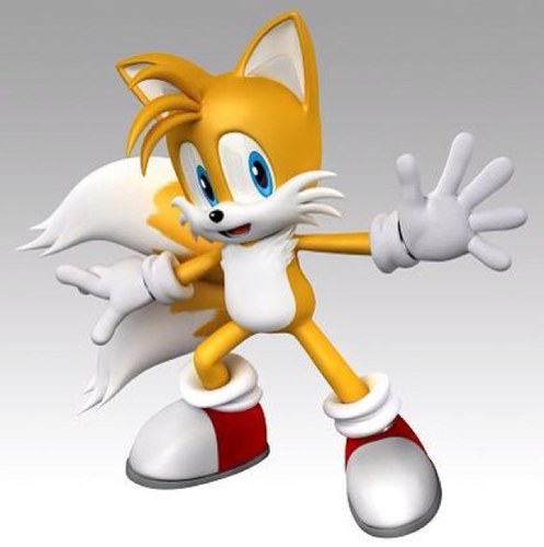 Friend of Sonic the Hedgehog and I also like to travel. Favorite number is 20. I fly high.