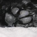 Thomas DUROCHER - @ThomasDUROCHER - Twitter