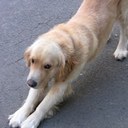 Howard Strother - @heslns - Twitter