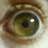 MiltonGuedes's profile image