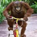 Shawn Berger - @Bergmasterflex - Twitter