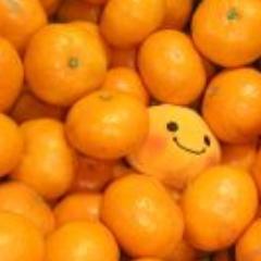 ainuokinawa1996's profile picture. 毎月第2日曜日に、京都市地域・多文化交流ネットワークセンターにて15時から17時まで月例会を行っています。
イベント等の情報交換や、雑誌・ニュースペーパーなどを持ち寄って、いろいろ話したりしています。興味のある方はぜひご参加下さい。
※不定期に休会していることもありますので、ツイッターで最新情報をご確認下さい。