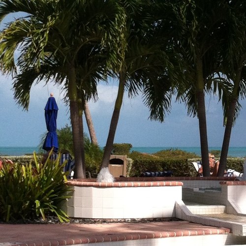 4schaefers's profile picture. 