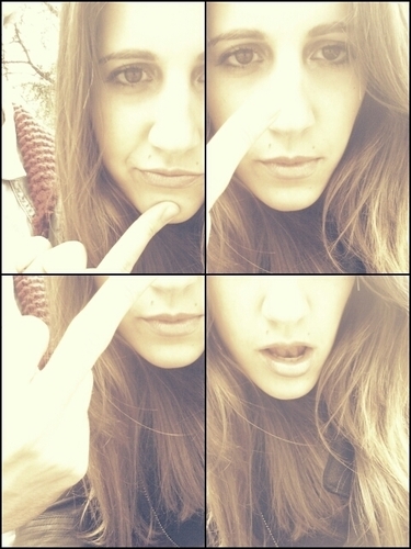 xexvxax's profile picture. 