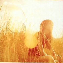 MyMedNumbers's profile picture. A site that caters to Pre Med students and Medical school applicants to give them a quantifiable idea of their admission probability.