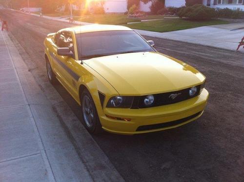 herewithHARAMBE's profile picture. ya its me i tweet no big deal