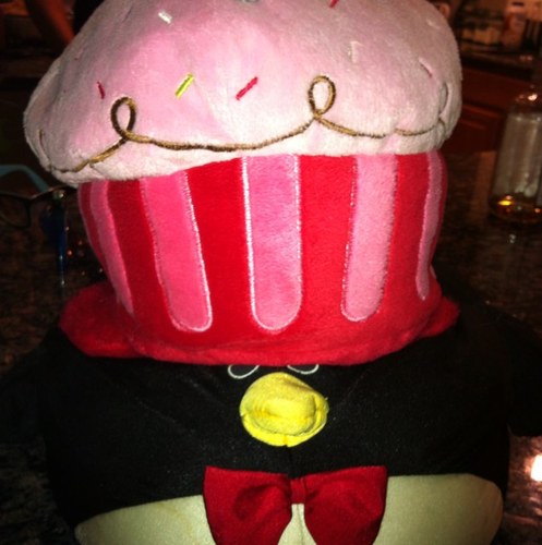 The President of the #InternationalAdventureClub ** A penguin with a cupcake hat ** Welcome to my intronet diary
