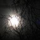 Quote Girl (: - @MarciHoffman8 - Twitter