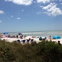 Candice Gorman - @CandiceGorman - Twitter