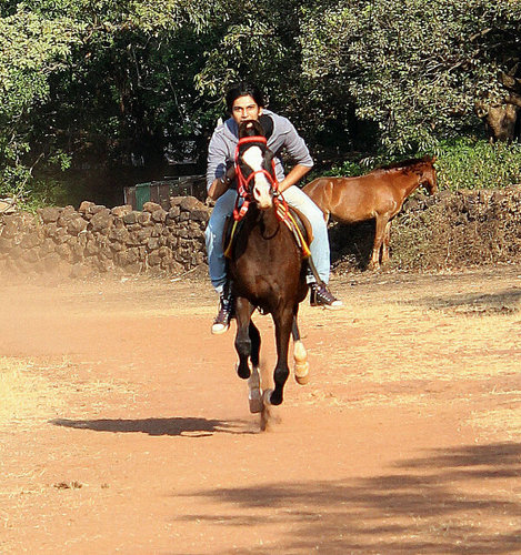 gimicashu's profile picture. In my late teenage life just counting months and waiting for a my degree college to begin !