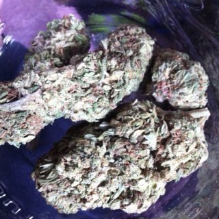 Just Smokin. @thebudslayer is my brah !!