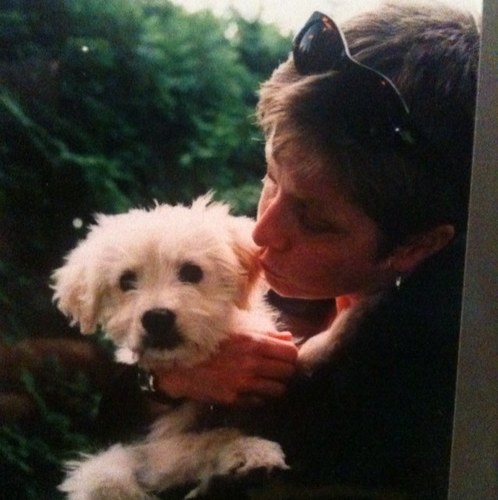 beejohnston's profile picture. 