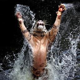 enjoys:;having a dwelling in winter being active, joyfull peacefullness, . ☺am i.. ,  i am somehow ☺. +