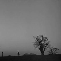 ymca007's profile picture. all right