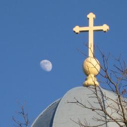 edc557's profile picture. 