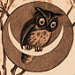 OwlQuiltery Profile Picture