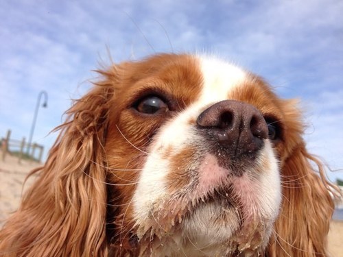 JaxJac's profile picture. Hurry up Summer!!